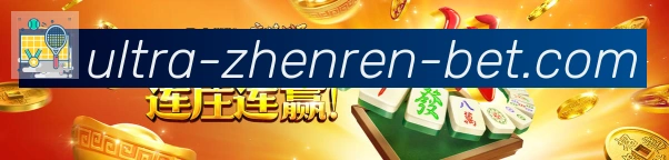 企业概况